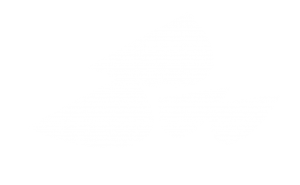 Logo Bytewise